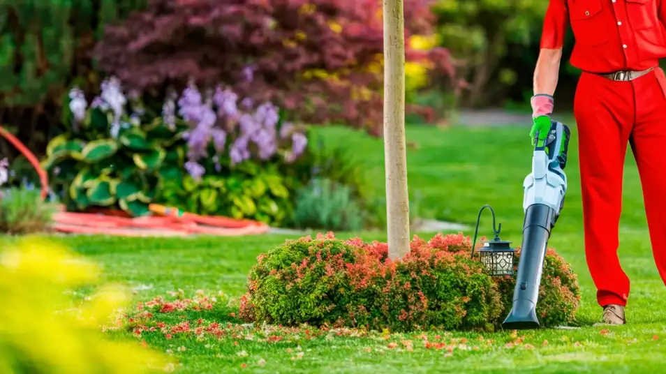 Landscape Maintenance & Installation