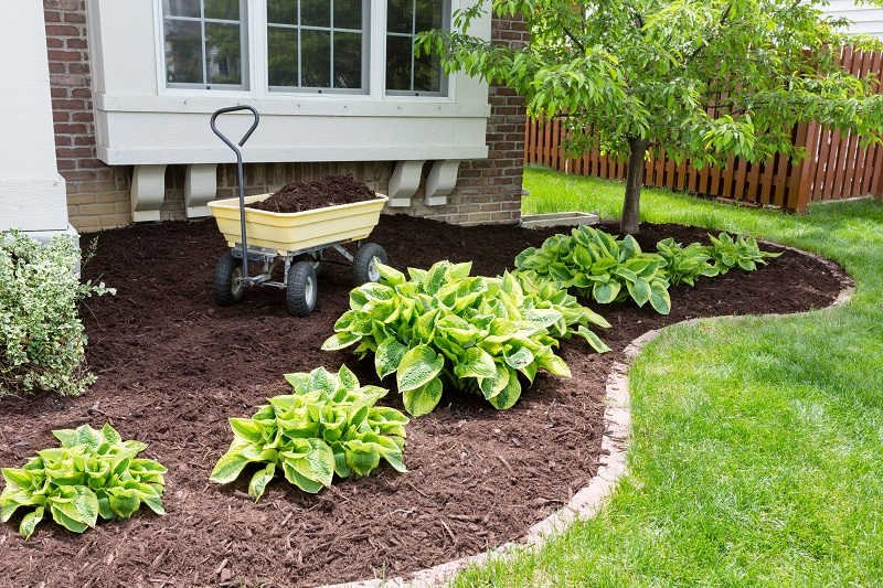 Front yard landscape makeover photo 3