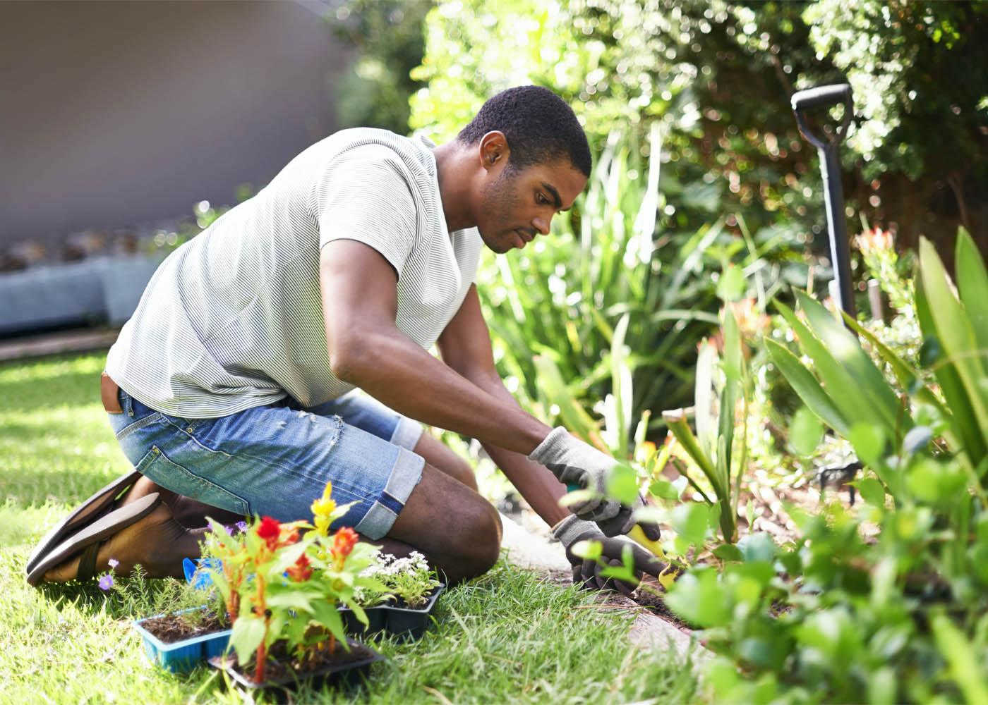 Gardening by Venado Landscaping